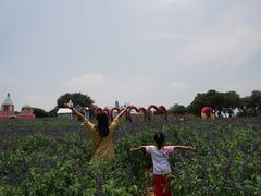 -松山湖梦幻百花洲