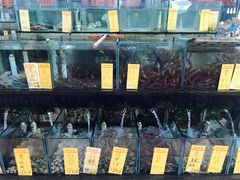 水产区-鱼米之家·20年老字号园林农庄·宴席(鱼窝头店)