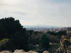 -Tapa Tapa