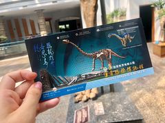 -自贡恐龙博物馆