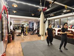 -温鉴良实用咏春拳