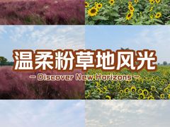 -汉长安城未央宫国家考古遗址公园