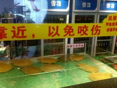 -洪湘记川湘·甲鱼馆(四海凯悦美食广场店)
