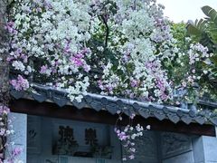 -深圳国际园林花卉博览园