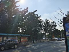 -长春市南湖公园