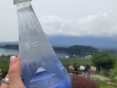 -富士山吉田線五合目