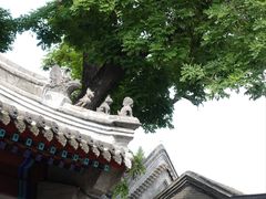 -保定直隶总督署博物馆