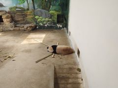 -杭州动物园
