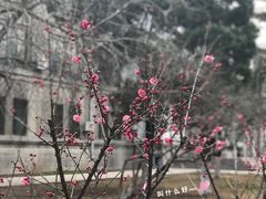 -山东师范大学(千佛山校区)