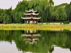 -陶然亭公园