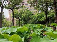 -杭州电子科技大学(下沙校区)