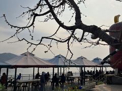 -望湖烤鱼