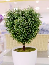 -爱婴室(上海紫荆广场店)