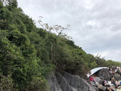 -珊瑚岛