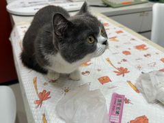 -御宝贝24h宠物医院·转诊中心·CT核磁血透中心(厦门总院)