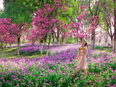 -白塘生态植物园