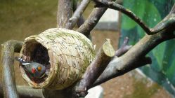 -Zoolung Zoolung动物主题公园(海信广场店)