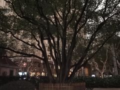 -徐家汇源景区-衡山公园