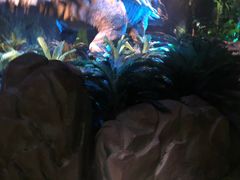 -侏罗纪世界电影特展(广州站)