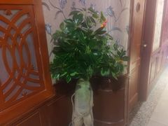 -魔指印象(西藏旗舰店)