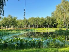 -东郊湿地公园