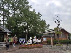 -大湾区中央湿地公园