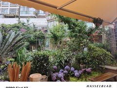 -田园印象·成都土菜院子(华阳店)