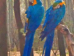 -北京野生动物园