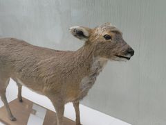 -国家自然博物馆