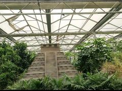 -南宫五洲植物乐园