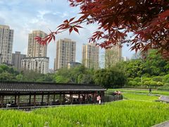 -龙头寺公园