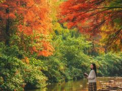 -重庆彩云湖湿地公园