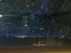 -沈灶河豚宴·河豚融合餐厅(汉中路店)