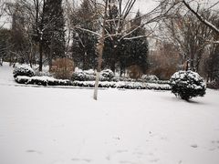 -北京莲花山滑雪场