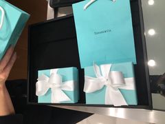 -Tiffany & Co.(银座本店)