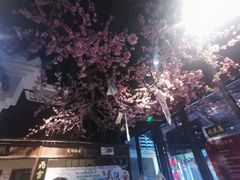 -风波庄(罍街分舵)