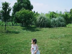 -田园东方蜜桃村的田野营地