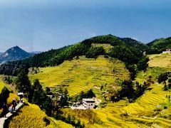 -紫鹊界梯田景区