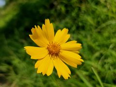 -松山湖梦幻百花洲