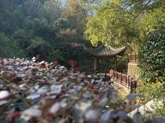 -敬亭山风景名胜区