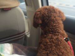 -东吴面馆(枫桥店)