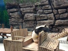 -大青山野生动物园