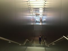 -Apple 零售店(Causeway Bay)