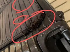 -苏州三元宾馆(观前街三元坊地铁站店)