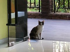 -晨光文具(漓江花园店)