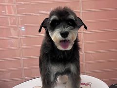 -FAELING PETS美天灵宠物(合生汇店)