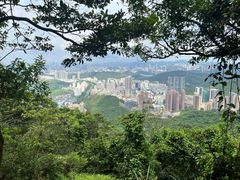 -梧桐山风景名胜区