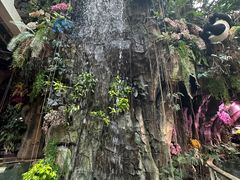 -正佳雨林生态植物园