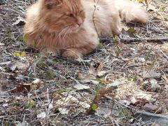 -北京西山国家森林公园