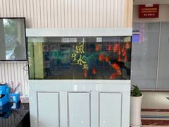 -中科领军口腔